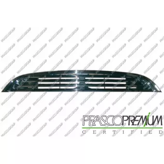 Grille de radiateur PRASCO MN3042001