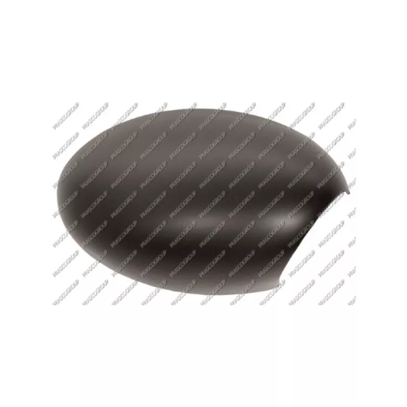Revêtement, rétroviseur extérieur PRASCO MN3047413