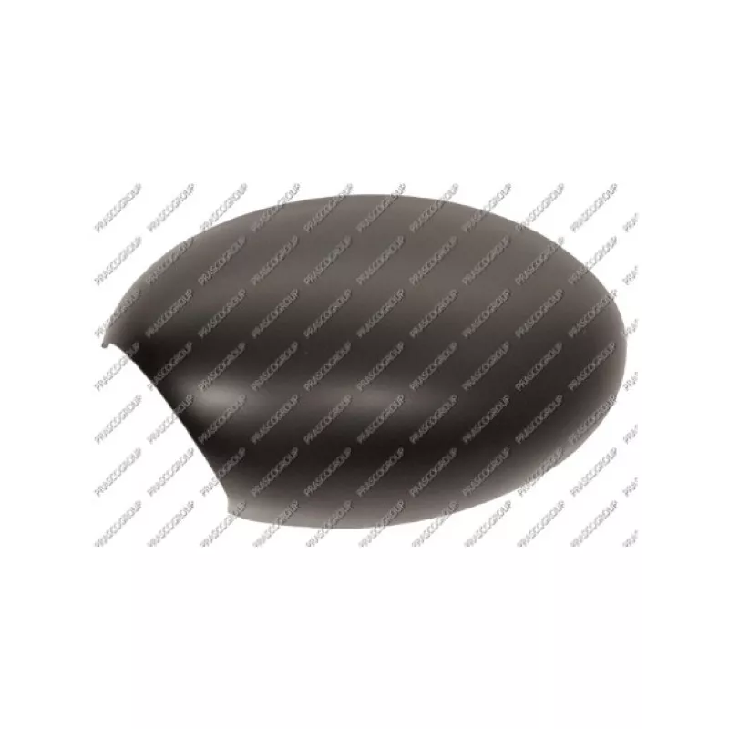 Revêtement, rétroviseur extérieur PRASCO MN3047414