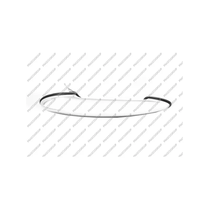 Poignée extérieure de porte avant droit PRASCO MN3048005
