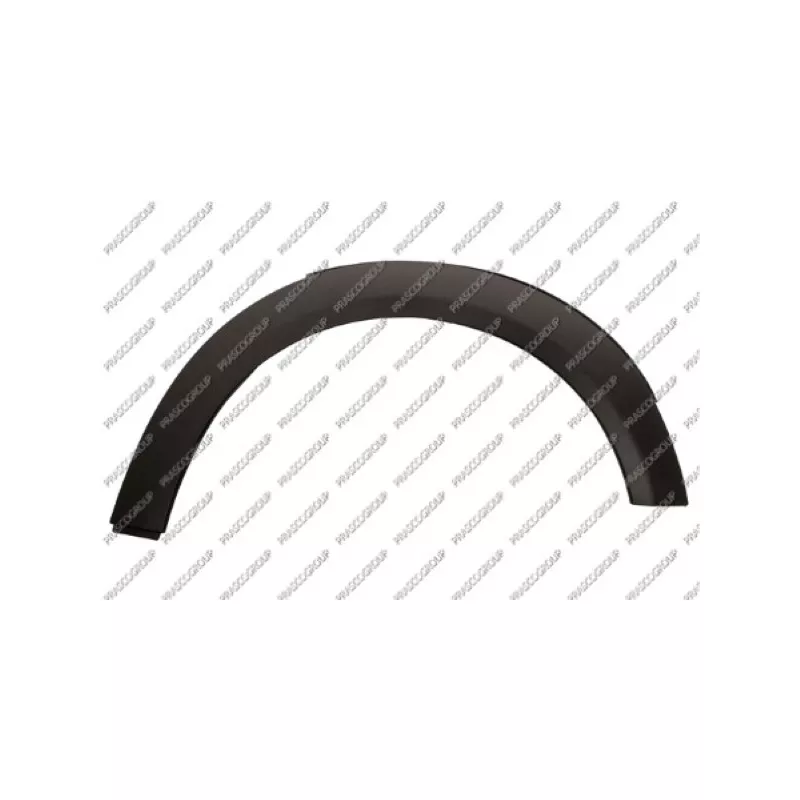 Baguette et bande protectrice, aile avant droit PRASCO MN3081581