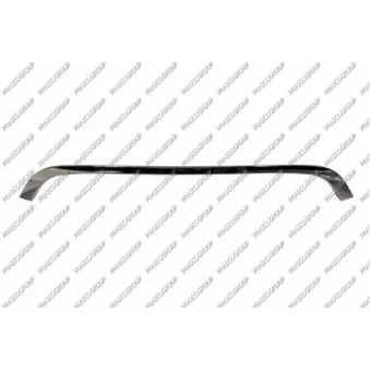 Baguette et bande protectrice, grille de radiateur PRASCO MN3102216