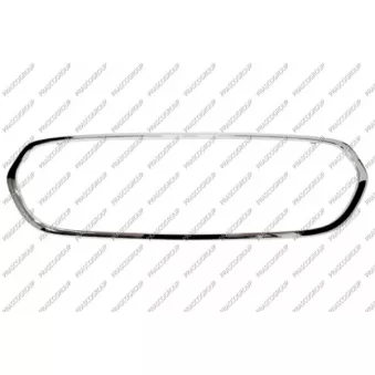 Cadre, grille de radiateur PRASCO MN3122206