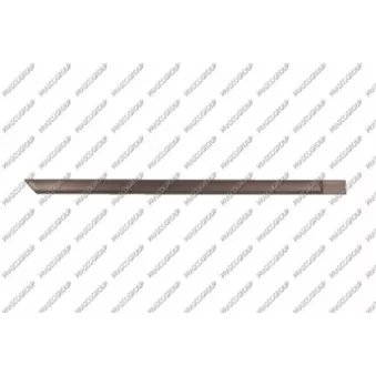 Baguette et bande protectrice, porte arrière droit PRASCO