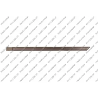 Baguette et bande protectrice, porte arrière gauche PRASCO