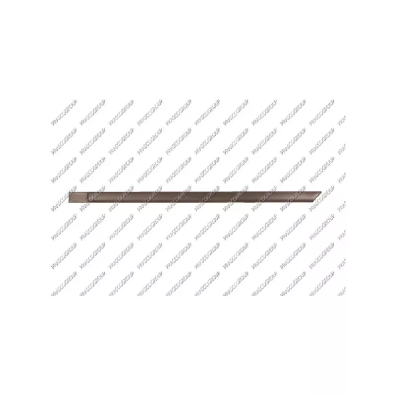 Baguette et bande protectrice, porte arrière gauche PRASCO OP0131454
