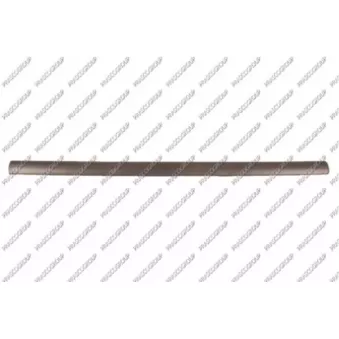 Baguette et bande protectrice, porte avant droit PRASCO OP0171403