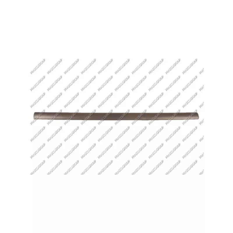 Baguette et bande protectrice, porte avant droit PRASCO OP0171403