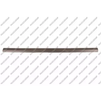 Baguette et bande protectrice, porte avant gauche PRASCO OP0171404
