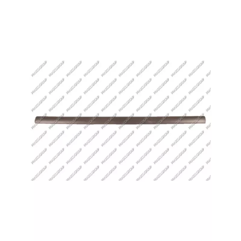 Baguette et bande protectrice, porte avant gauche PRASCO OP0171404