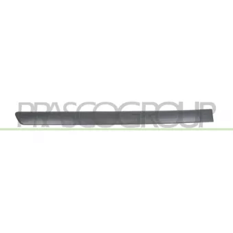 Baguette et bande protectrice, porte arrière droit PRASCO OP0171453