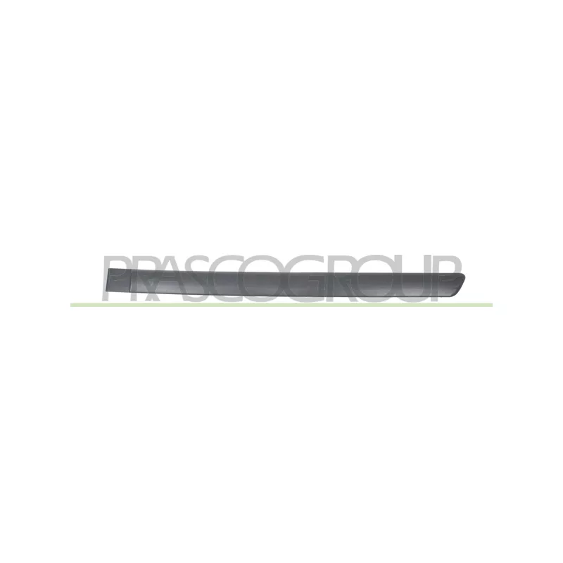 Baguette et bande protectrice, porte arrière gauche PRASCO OP0171454