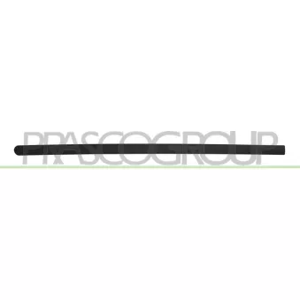 Baguette et bande protectrice, porte avant gauche PRASCO OP0301414