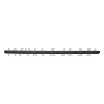 Baguette et bande protectrice, porte avant droit PRASCO OP0301433