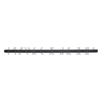 Baguette et bande protectrice, porte avant gauche PRASCO OP0301434
