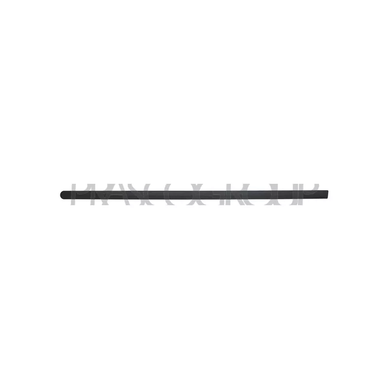 Baguette et bande protectrice, porte avant gauche PRASCO OP0301434