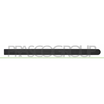 Baguette et bande protectrice, porte arrière droit PRASCO OP0301453