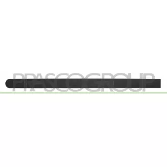 Baguette et bande protectrice, porte arrière gauche PRASCO OP0301454