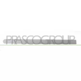 Baguette et bande protectrice, porte arrière droit PRASCO OP0301463