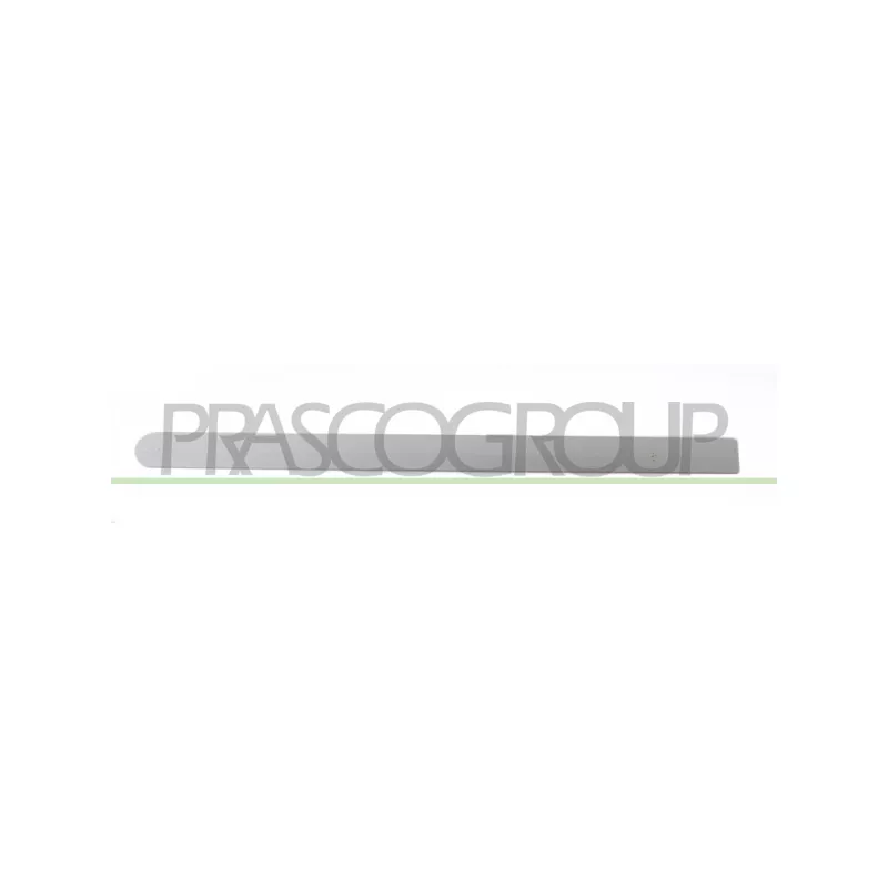 Baguette et bande protectrice, porte arrière droit PRASCO OP0301463