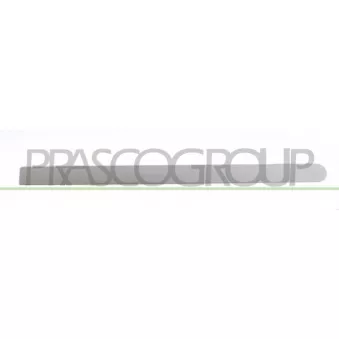 Baguette et bande protectrice, porte arrière gauche PRASCO OP0301464