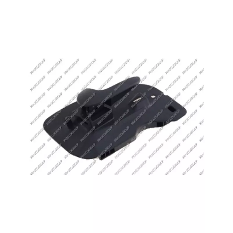 Poignet de porte, équipment intérieur avant gauche PRASCO OP0308402