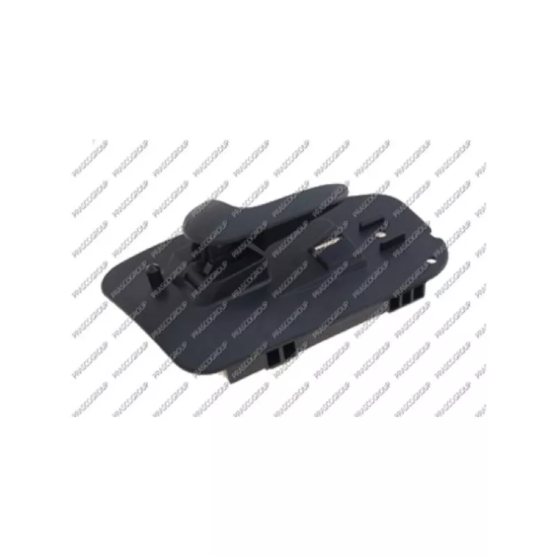 Poignet de porte, équipment intérieur arrière gauche PRASCO OP0308502