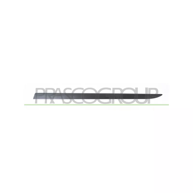 Baguette et bande protectrice, porte avant droit PRASCO OP0341433