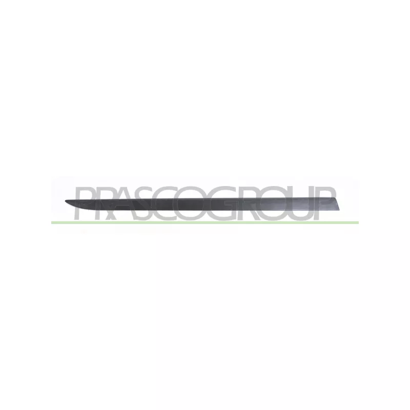 Baguette et bande protectrice, porte avant gauche PRASCO OP0341434