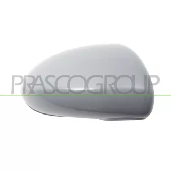 Revêtement, rétroviseur extérieur PRASCO OP0347413
