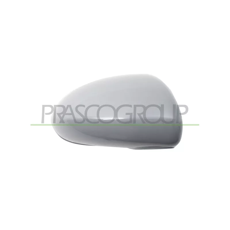 Revêtement, rétroviseur extérieur PRASCO OP0347413