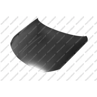 Capot-moteur PRASCO