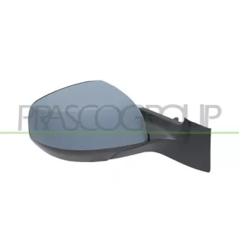 Rétroviseur extérieur PRASCO OP3057303P