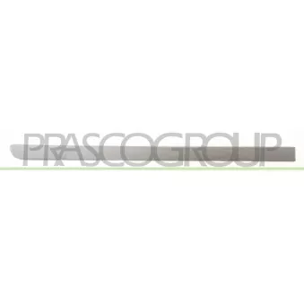 Baguette et bande protectrice, porte arrière droit PRASCO