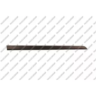 Baguette et bande protectrice, porte avant droit PRASCO OP4101403