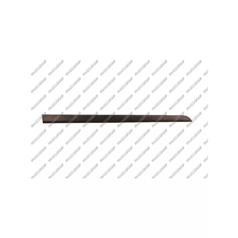 Baguette et bande protectrice, porte avant droit PRASCO OP4101403