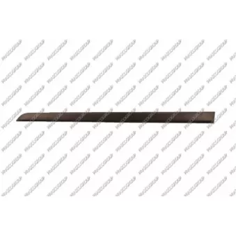 Baguette et bande protectrice, porte avant gauche PRASCO OP4101404