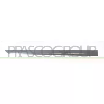 Baguette et bande protectrice, porte avant droit PRASCO OP4101423