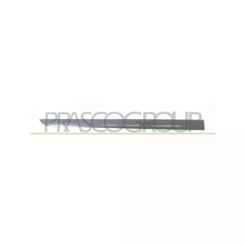 Baguette et bande protectrice, porte avant droit PRASCO OP4101423