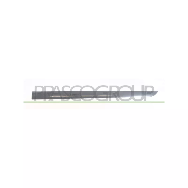 Baguette et bande protectrice, porte avant gauche PRASCO OP4101424