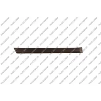 Baguette et bande protectrice, porte arrière droit PRASCO OP4101453