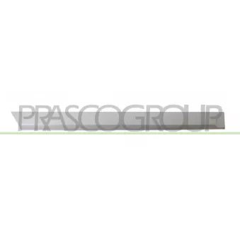 Baguette et bande protectrice, porte arrière droit PRASCO OP4101463
