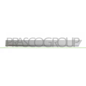 Baguette et bande protectrice, porte arrière gauche PRASCO OP4101464