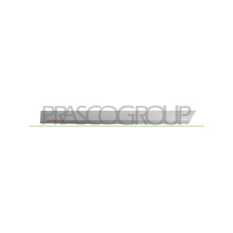 Baguette et bande protectrice, porte arrière gauche PRASCO OP4101464