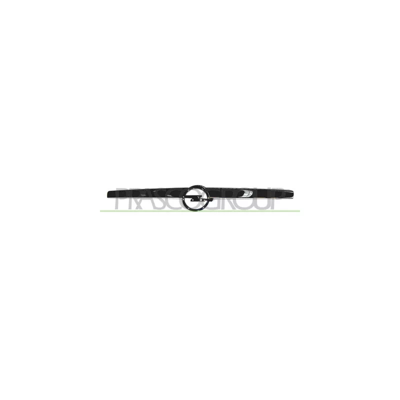 Baguette et bande protectrice, grille de radiateur PRASCO OP4142206