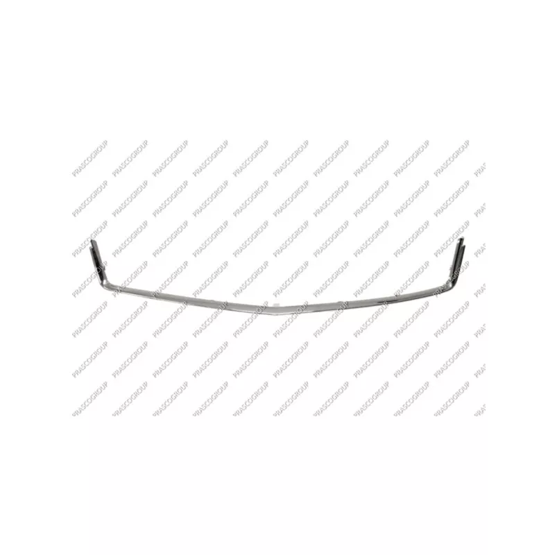 Baguette et bande protectrice, grille de radiateur PRASCO OP4142226