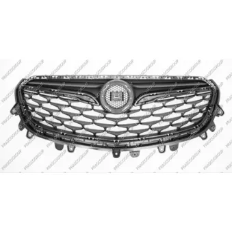 Grille de radiateur PRASCO