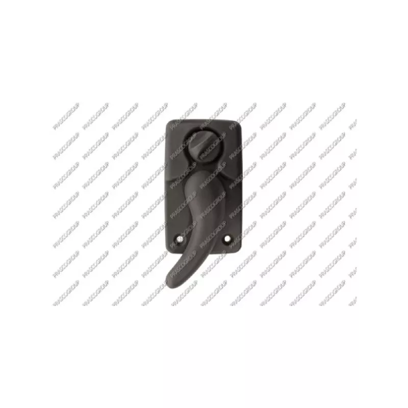 Poignet de porte, équipment intérieur arrière droit PRASCO OP9508301