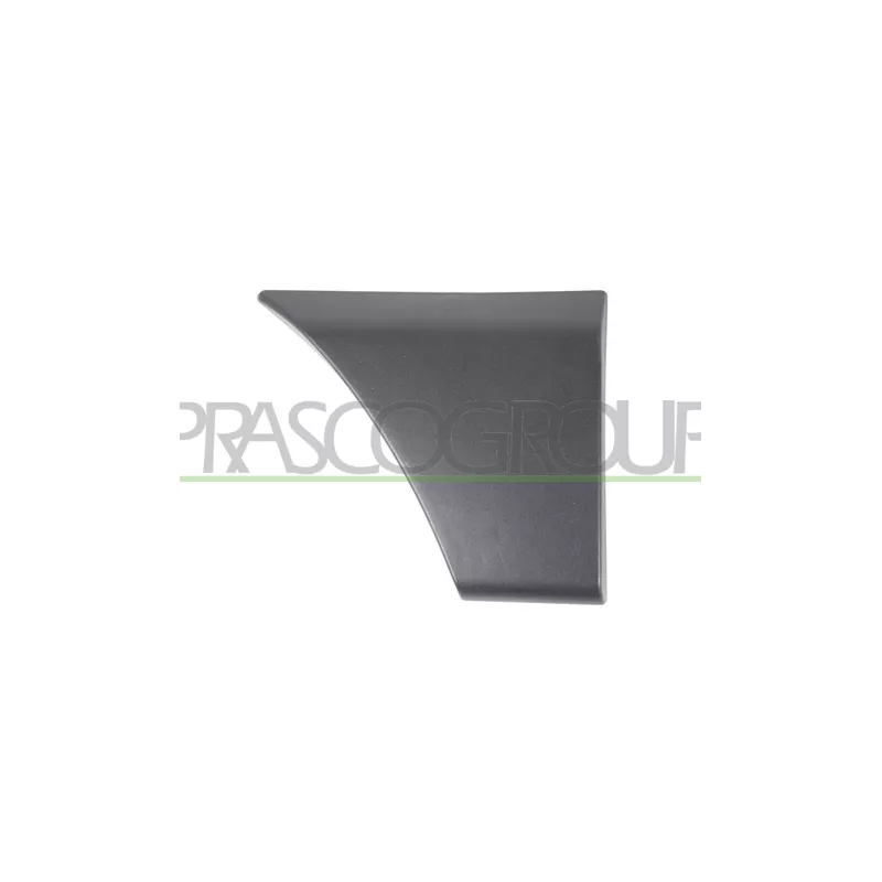 Baguette et bande protectrice, porte avant droit PRASCO OP9541463