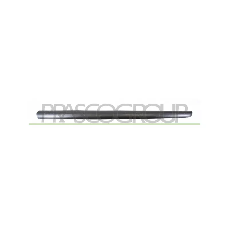 Baguette et bande protectrice, porte avant droit PRASCO PG3201413